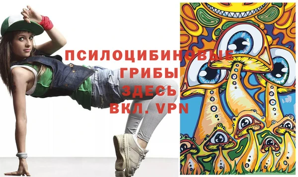 гидропоника Абаза