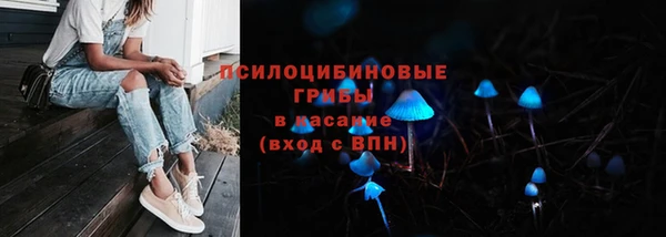 a pvp Абинск