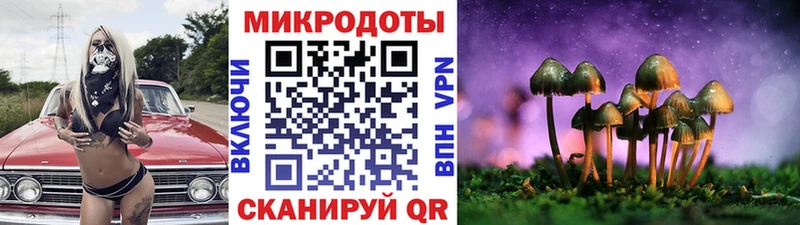 Галлюциногенные грибы ЛСД купить закладку Тайга